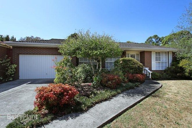 Picture of 43 Raheen Avenue, WANTIRNA VIC 3152