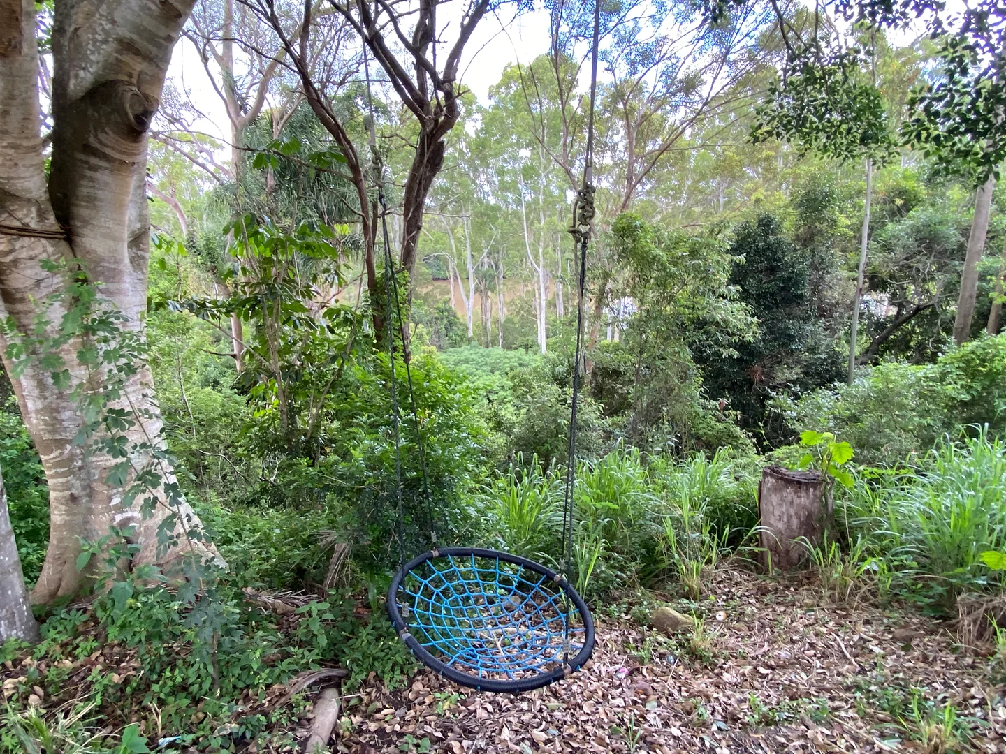 Image 11