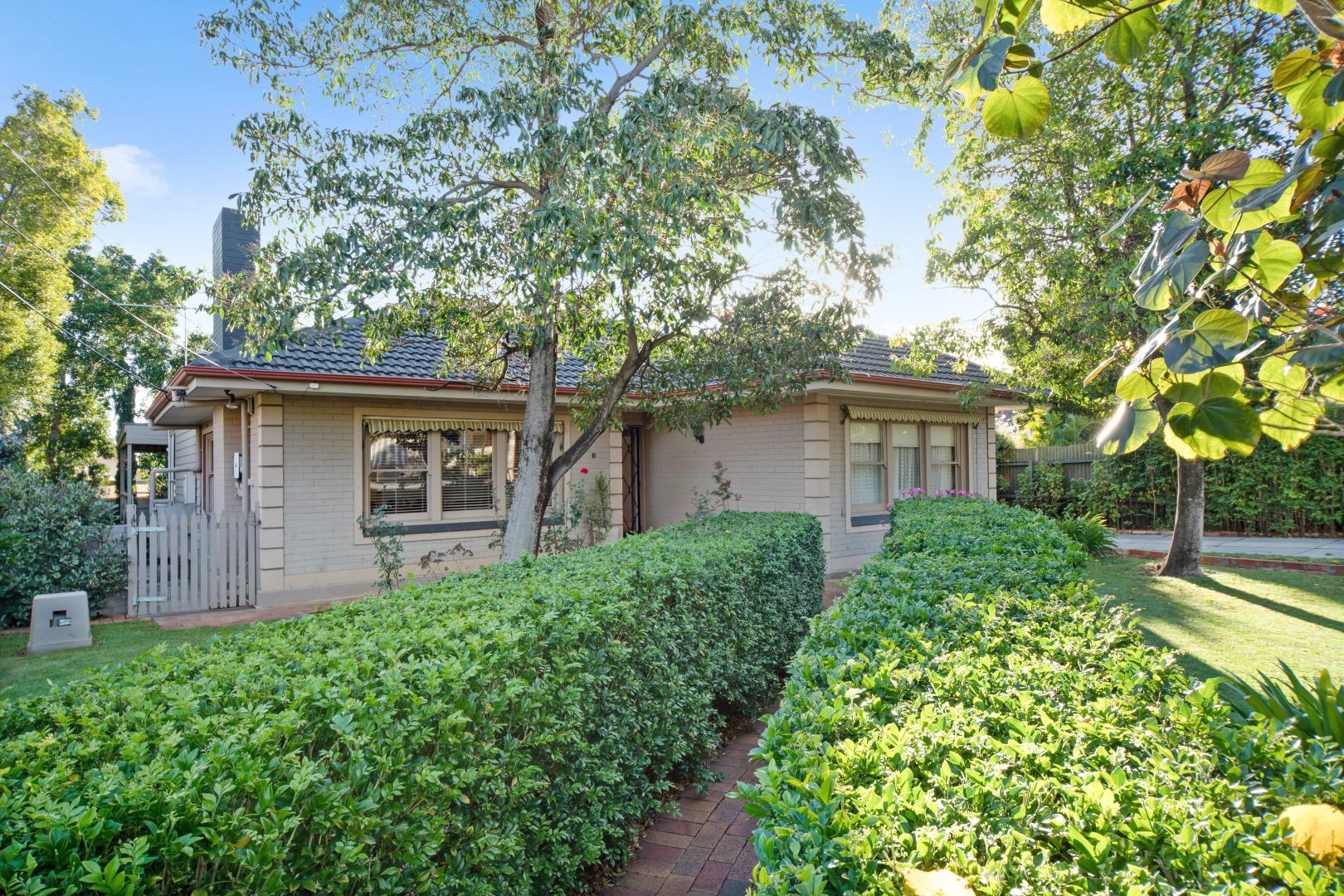 1 Chase Grove, Vale Park SA 5081, Image 1