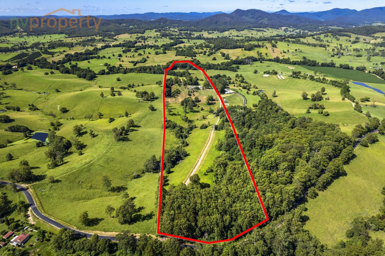 309 Lower Buckra Bendinni Road, Buckra Bendinni NSW 2449, Image 1