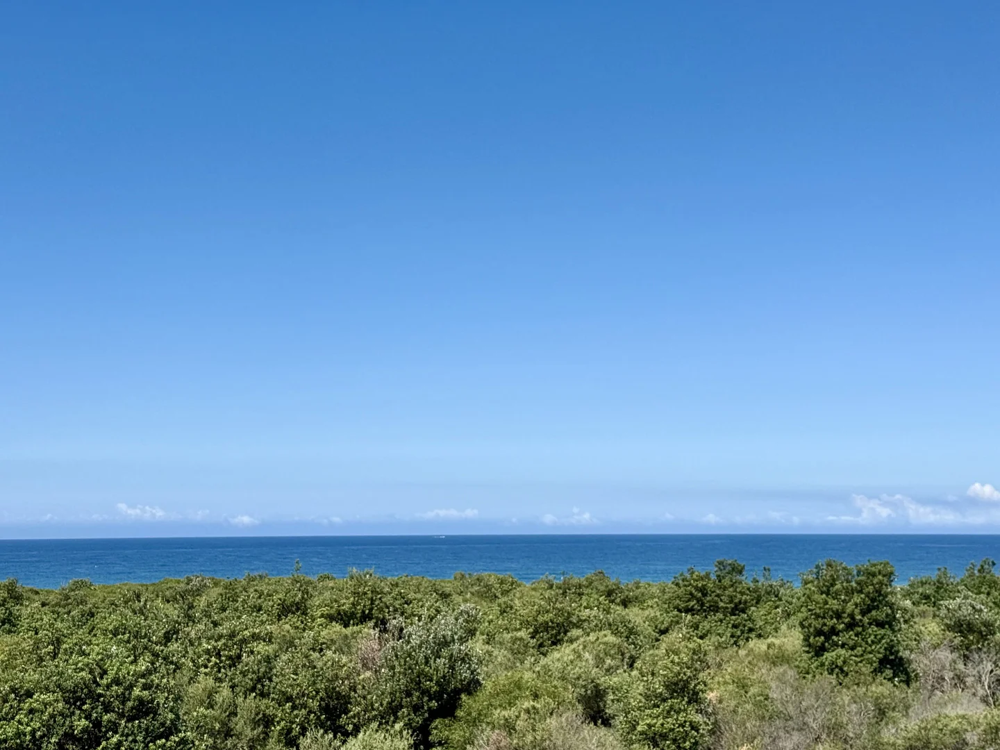 Additional image 10 of 55A Whitehaven Avenue, Magenta NSW 2261