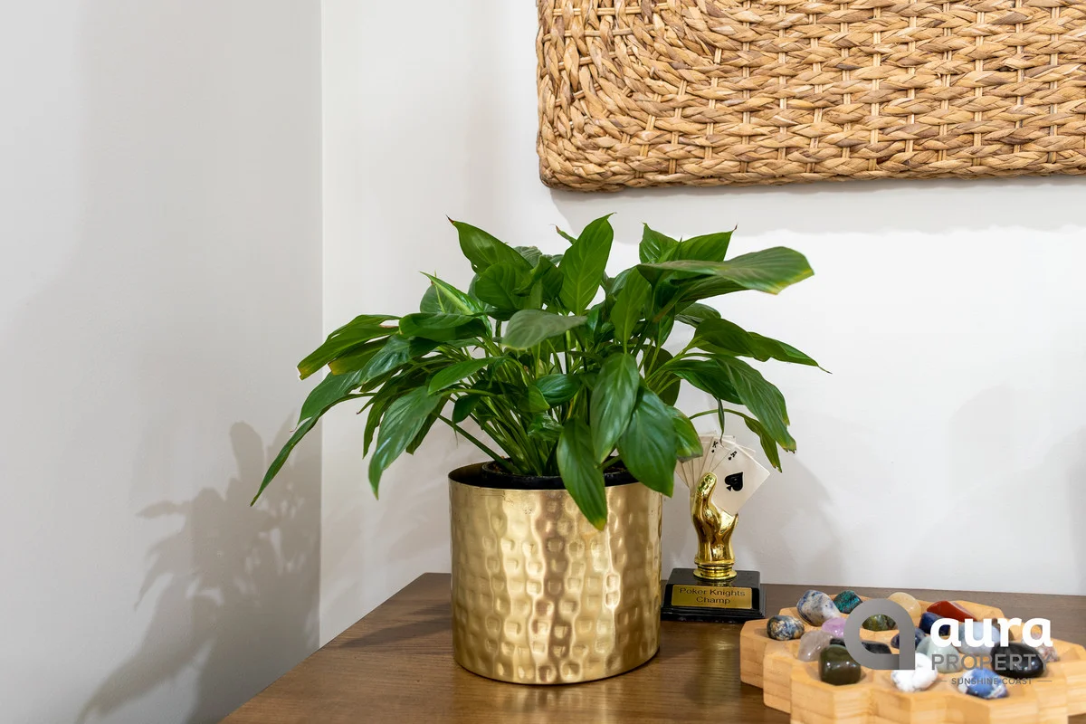 Additional image 16 of 15 Harlequin Road, Palmview QLD 4553