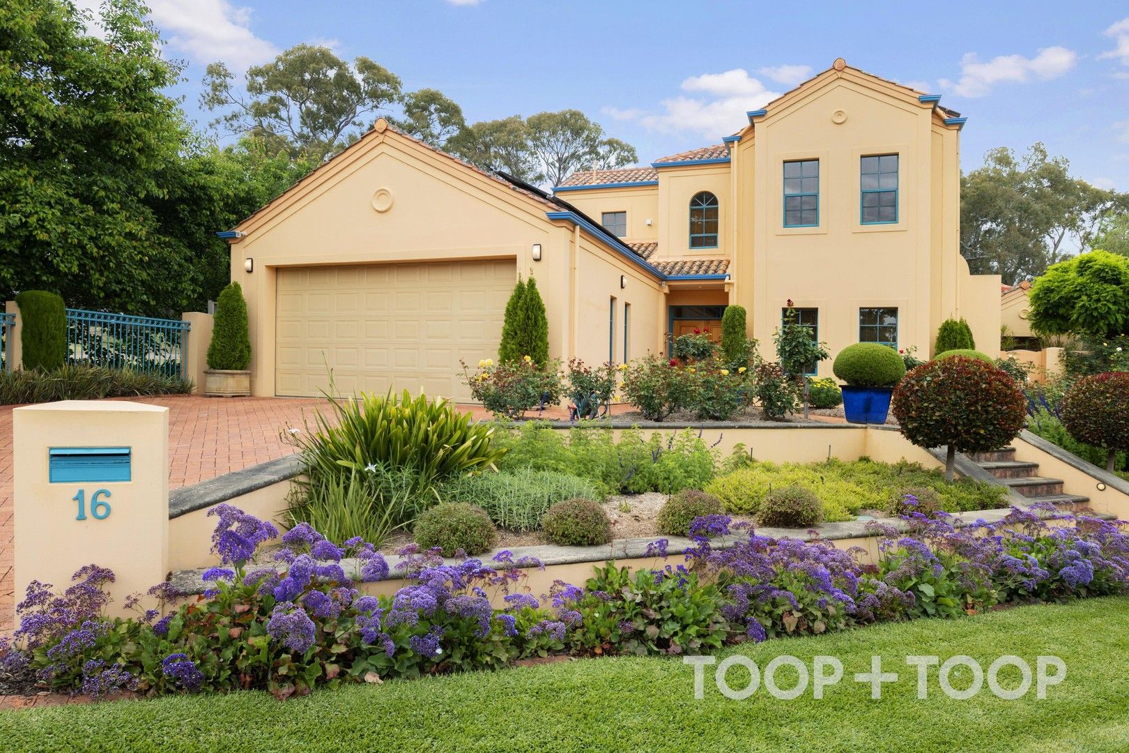 16 Cooper Angus Grove, Wattle Park SA 5066, Image 0