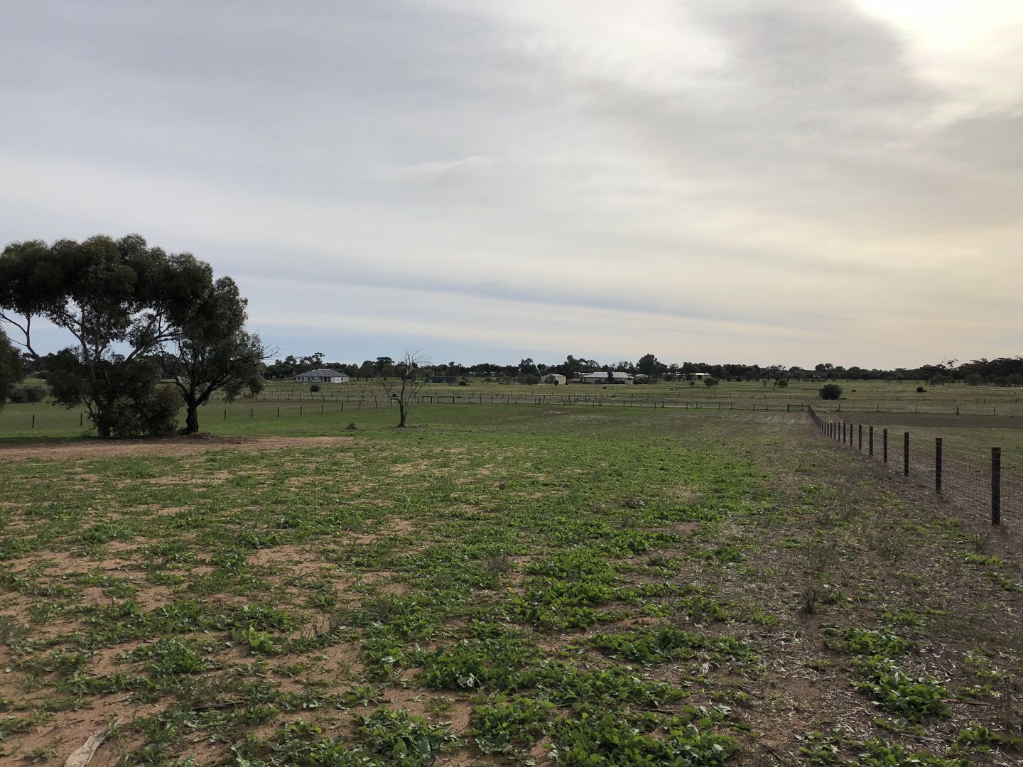 Lot 15 Parkers Road, Gawler Belt SA 5118, Image 2