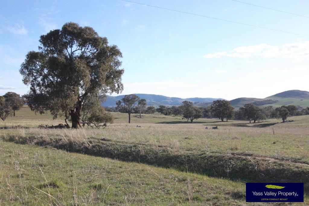 Reynolds Lane, Binalong NSW 2584, Image 2