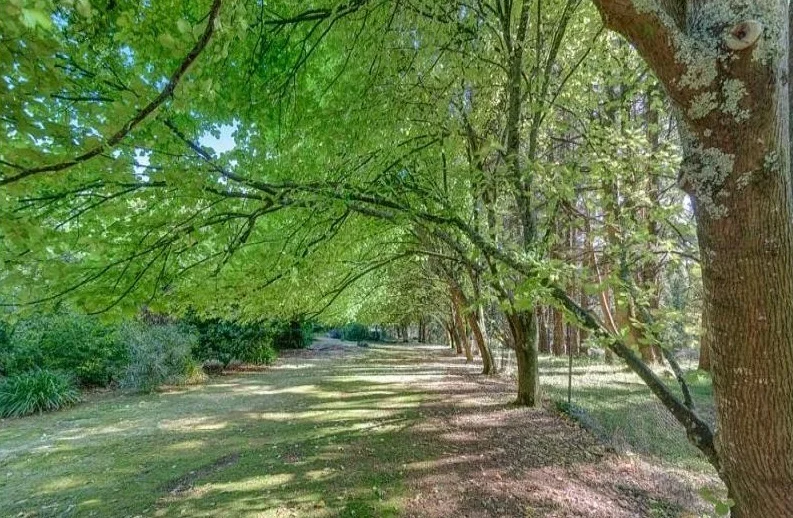 Additional image 17 of 6 Hill Street, Ferny Creek VIC 3786