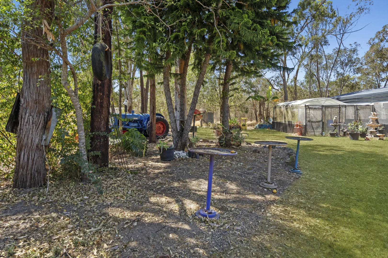 Image 21