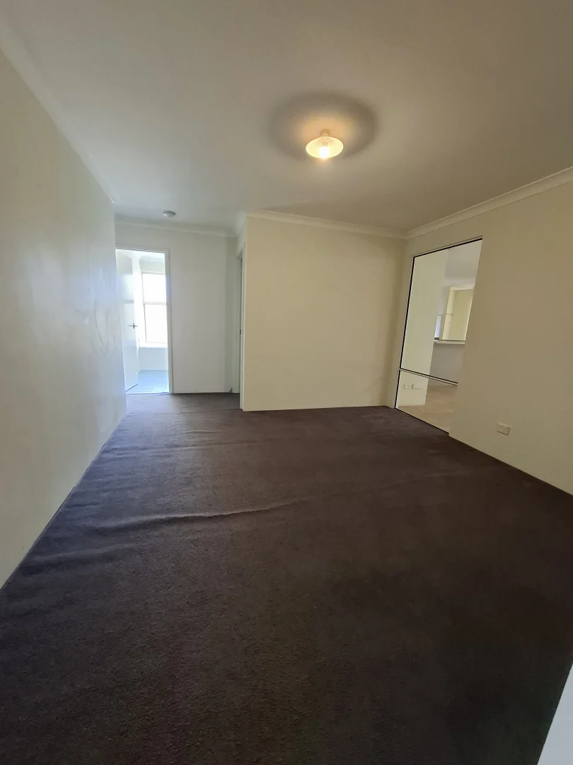 Additional image 4 of 10 Euro Brace, Australind WA 6233