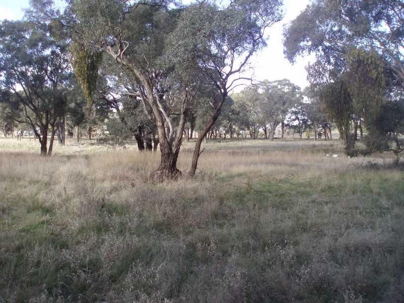 Lot 7 Calder Highway, FARADAY VIC 3451, Image 0