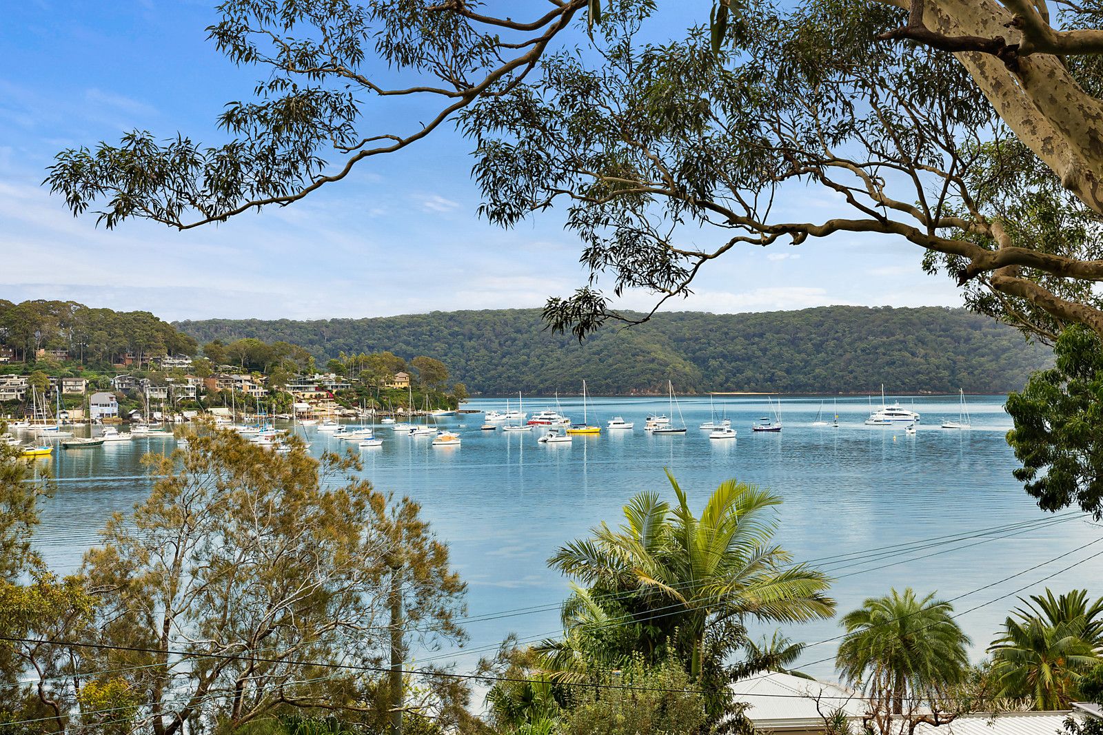 830A Barrenjoey Road, Palm Beach NSW 2108, Image 0