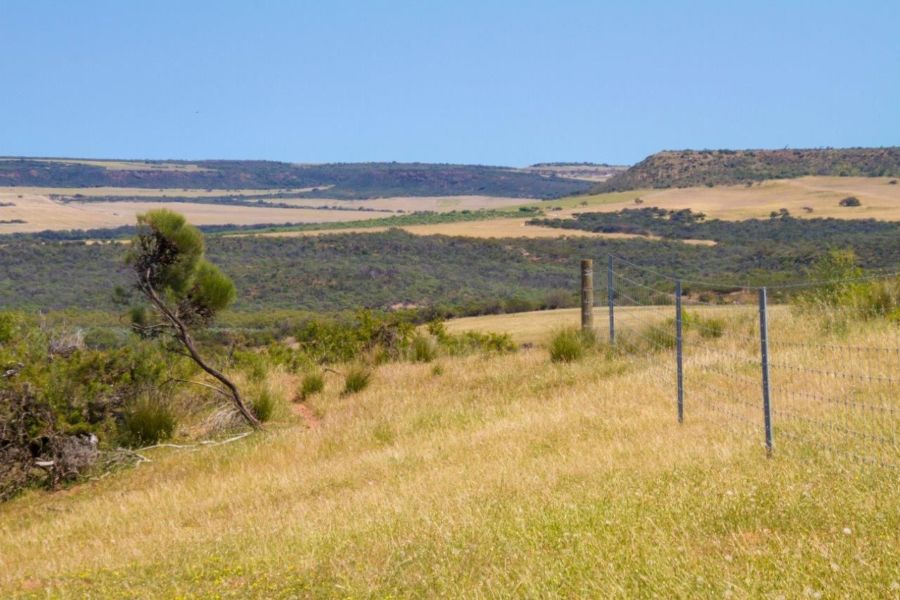 Lot 78 Chapman Valley Road, NANSON WA 6532, Image 2