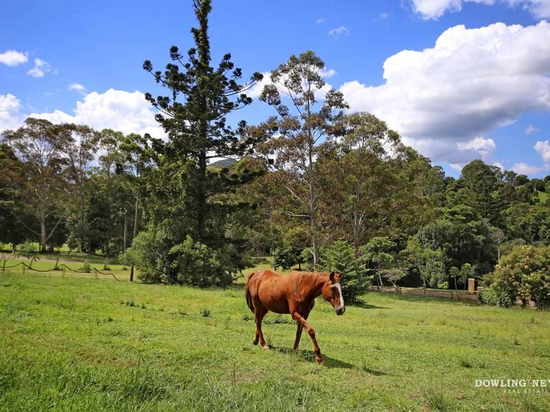 192 Nandroya, Eumundi QLD 4562, Image 0