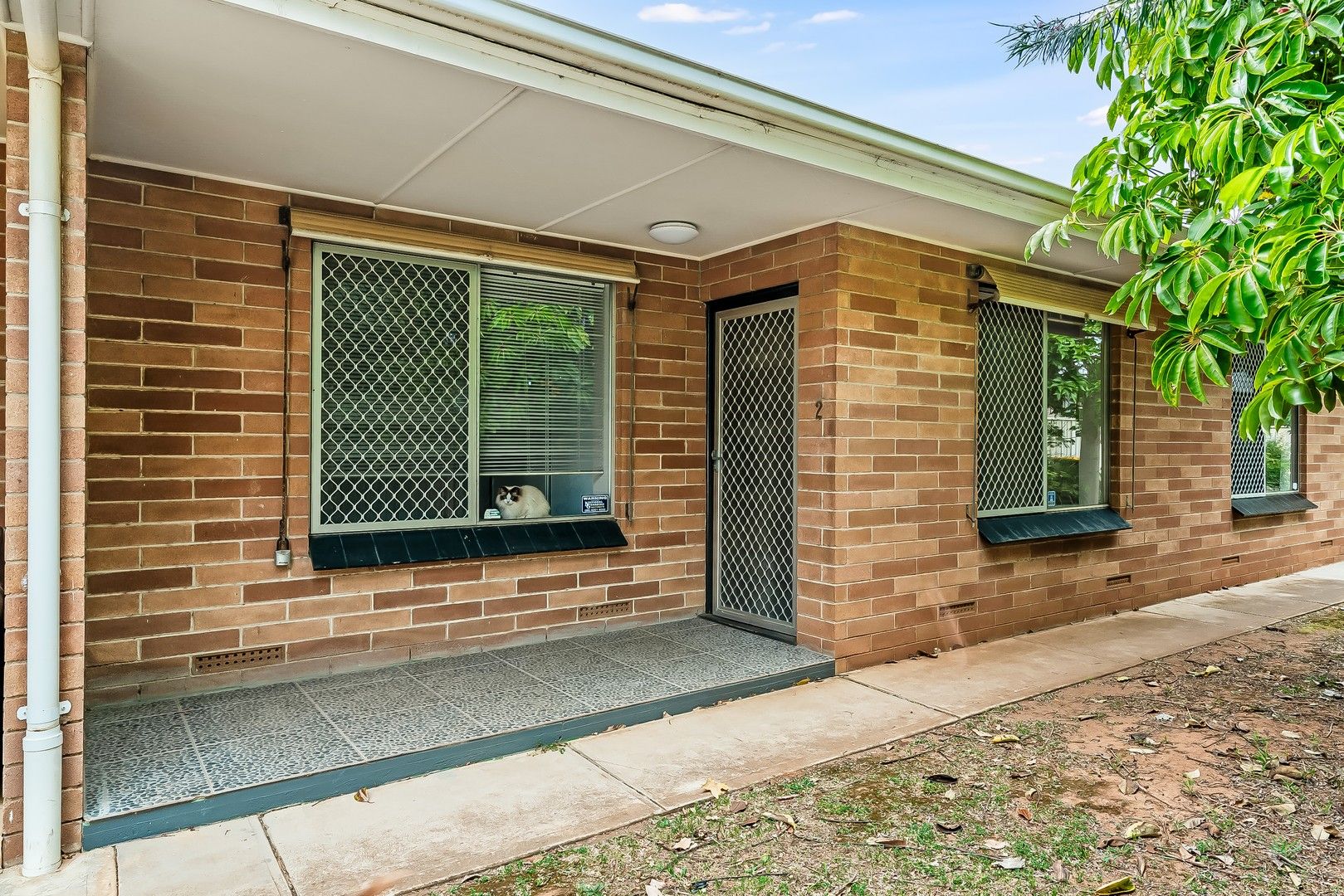 2/91 Dunrobin Road, Warradale SA 5046 Apartment For Rent Domain