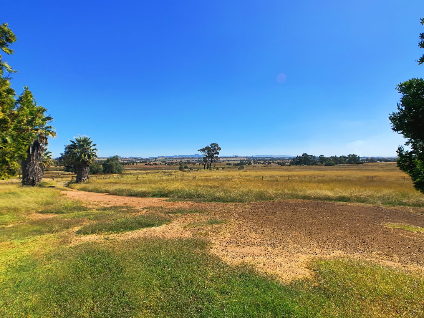 730 AscotCalala Lane, Tamworth NSW 2340 House For Rent Domain