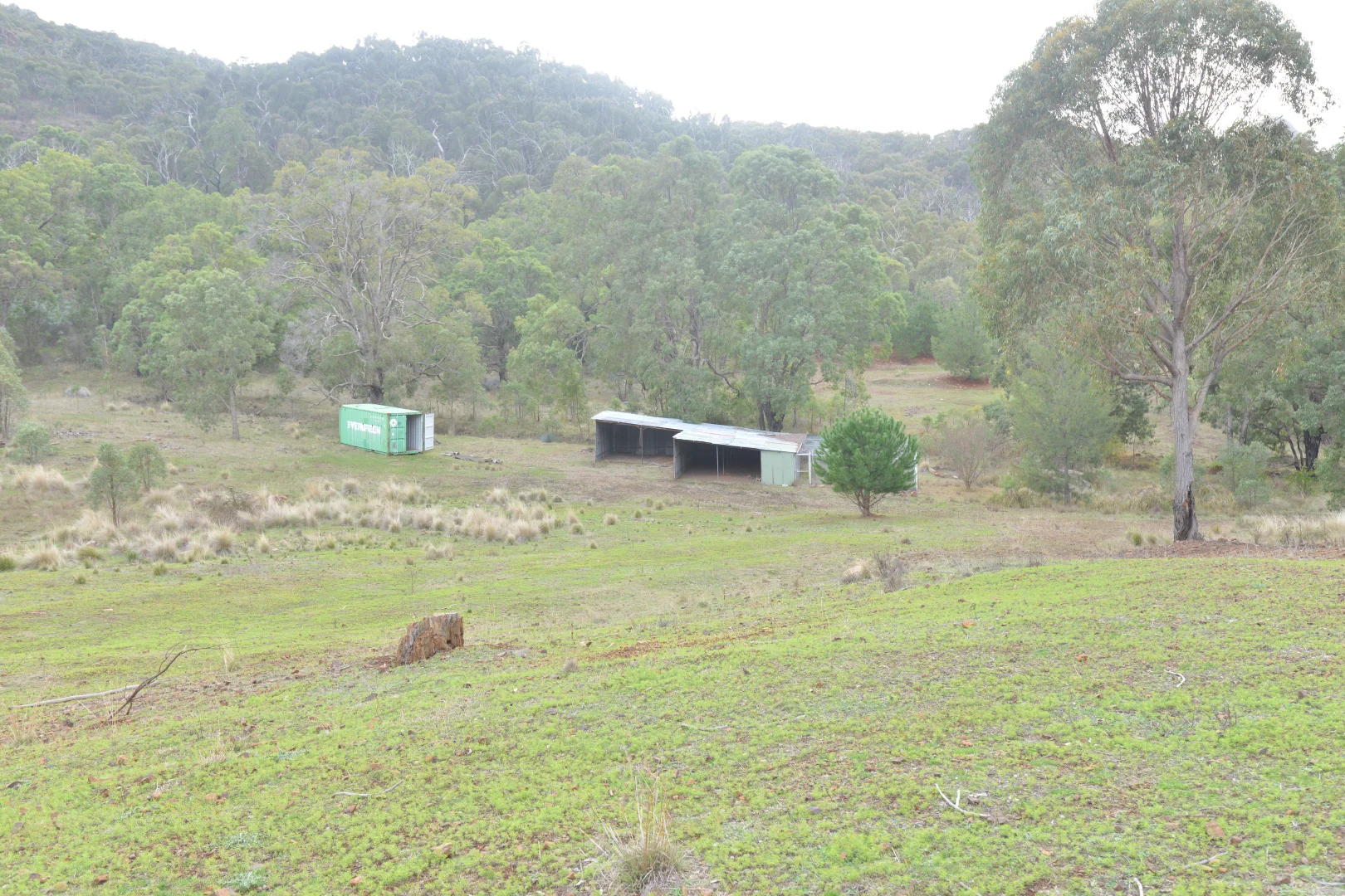 Image 10