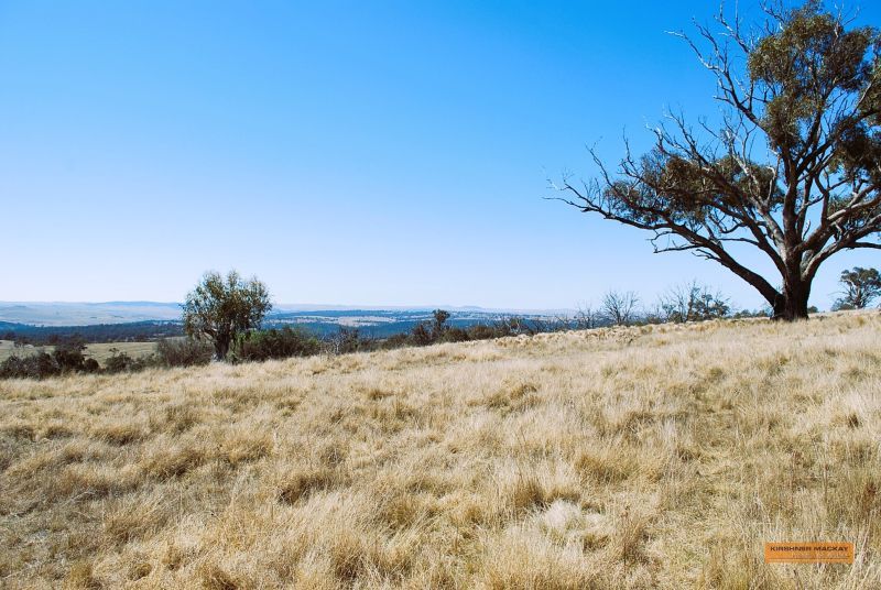 "The Top Paddock" Bairds Crossing Road, Dalgety NSW 2628, Image 1