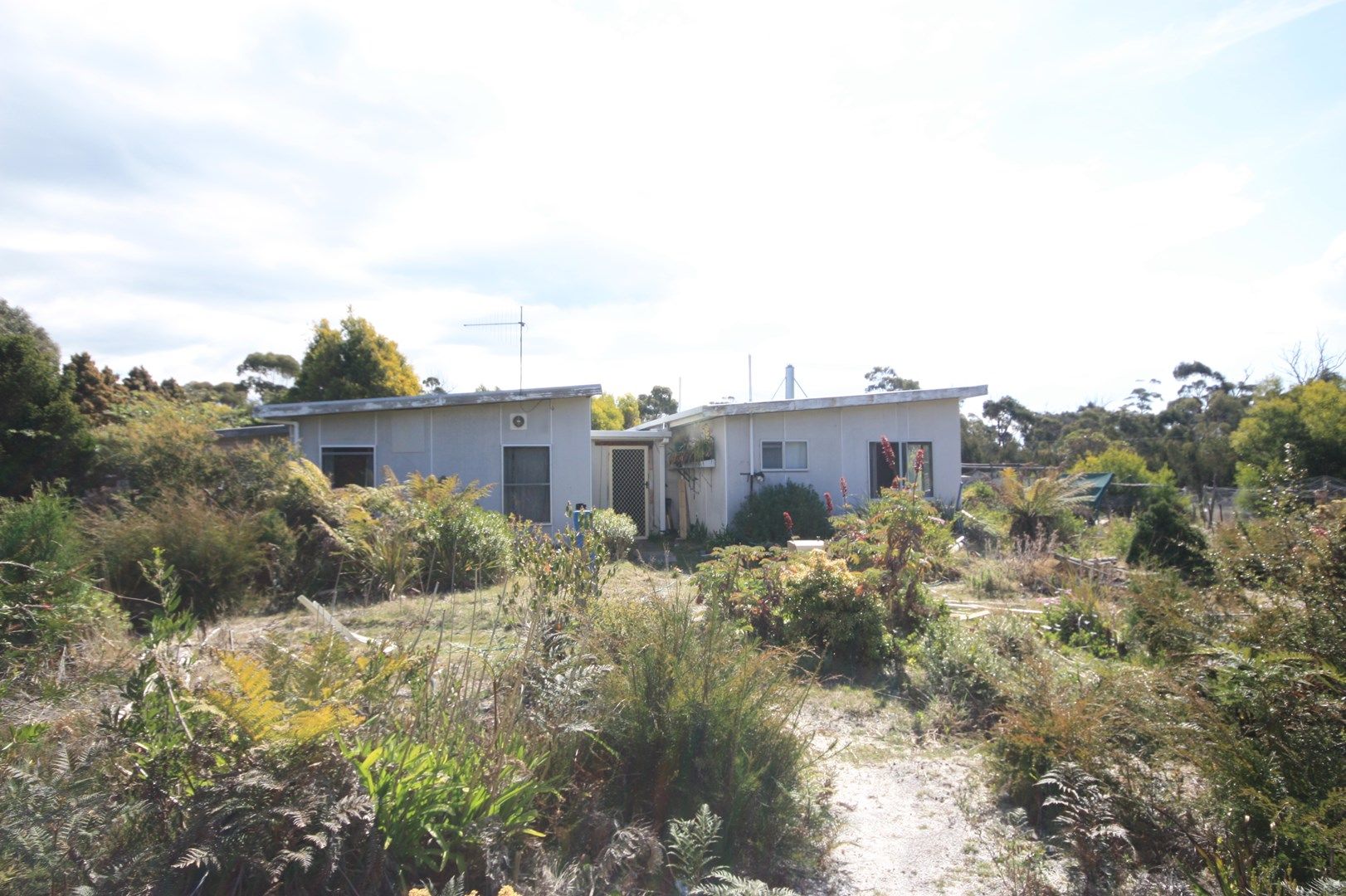 34 Upper Scamander Road, Scamander TAS 7215, Image 0