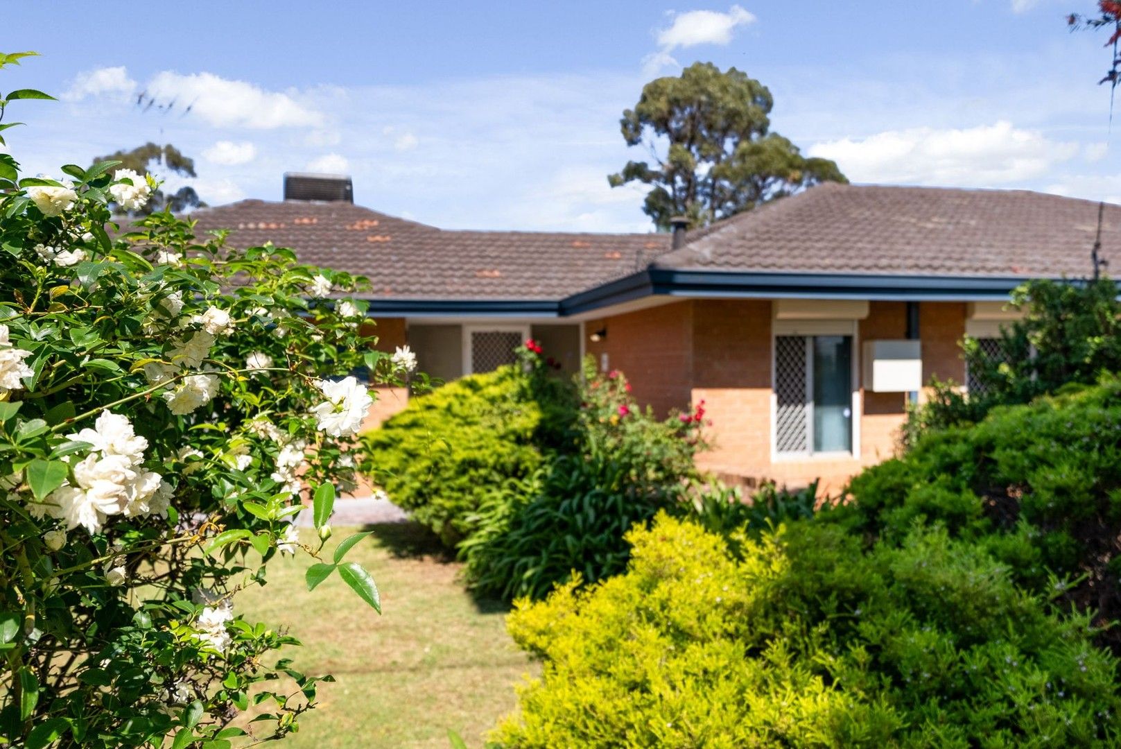 101 Lilburne Road, Duncraig WA 6023 House For Rent Domain