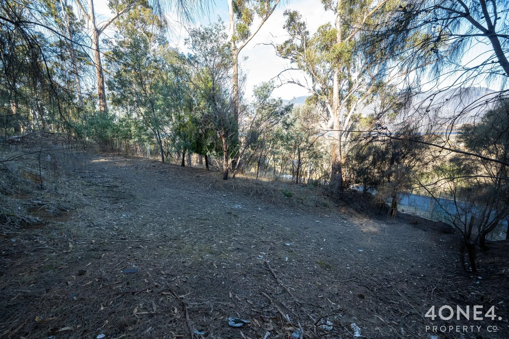 Image 10