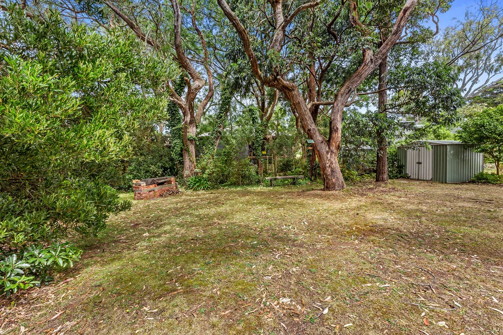 Image 13