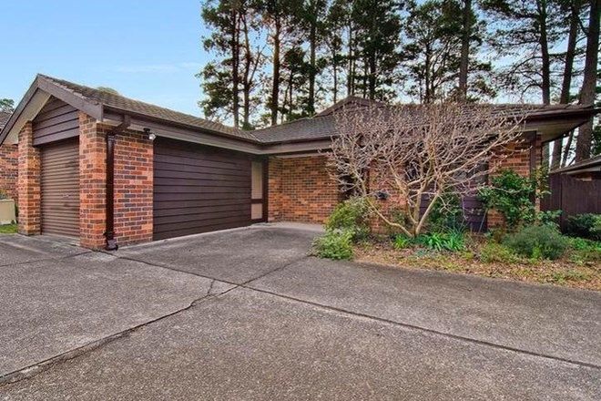 Picture of 3/59 Falls Road, WENTWORTH FALLS NSW 2782