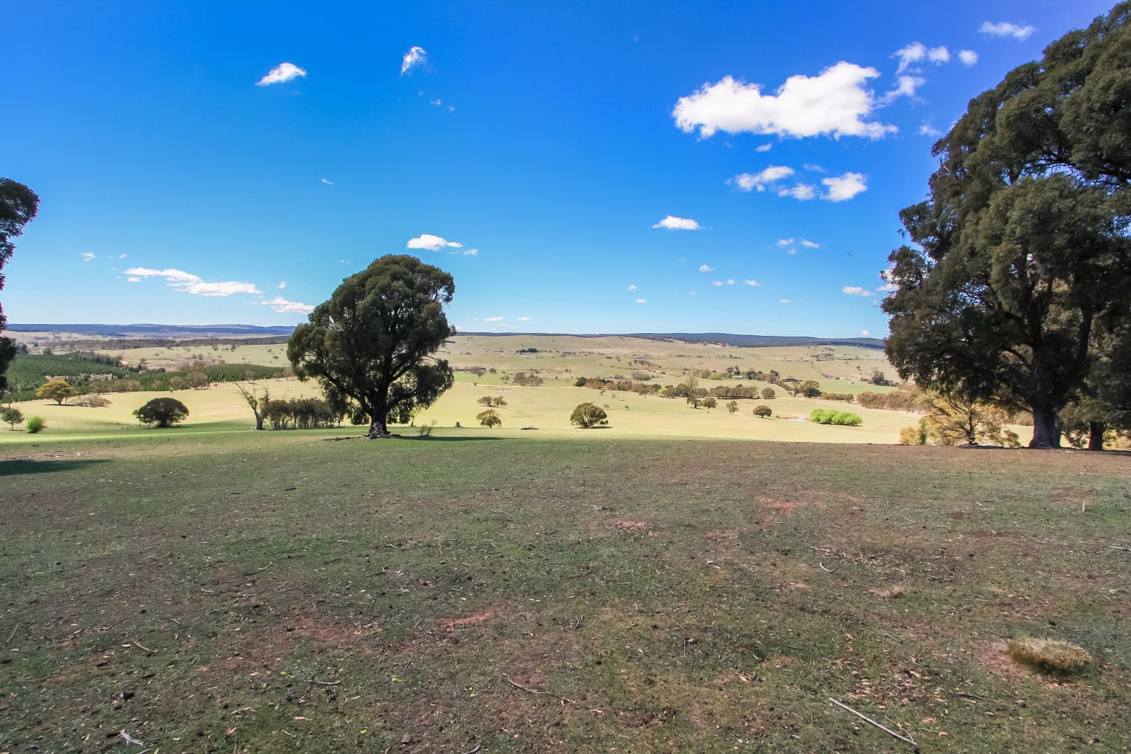 . 'CRAIGIE STATION' Big Flat Road, Craigie NSW 2632, Image 2