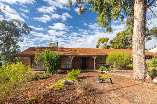 Picture of 12 Westbrook Avenue, LOXTON SA 5333