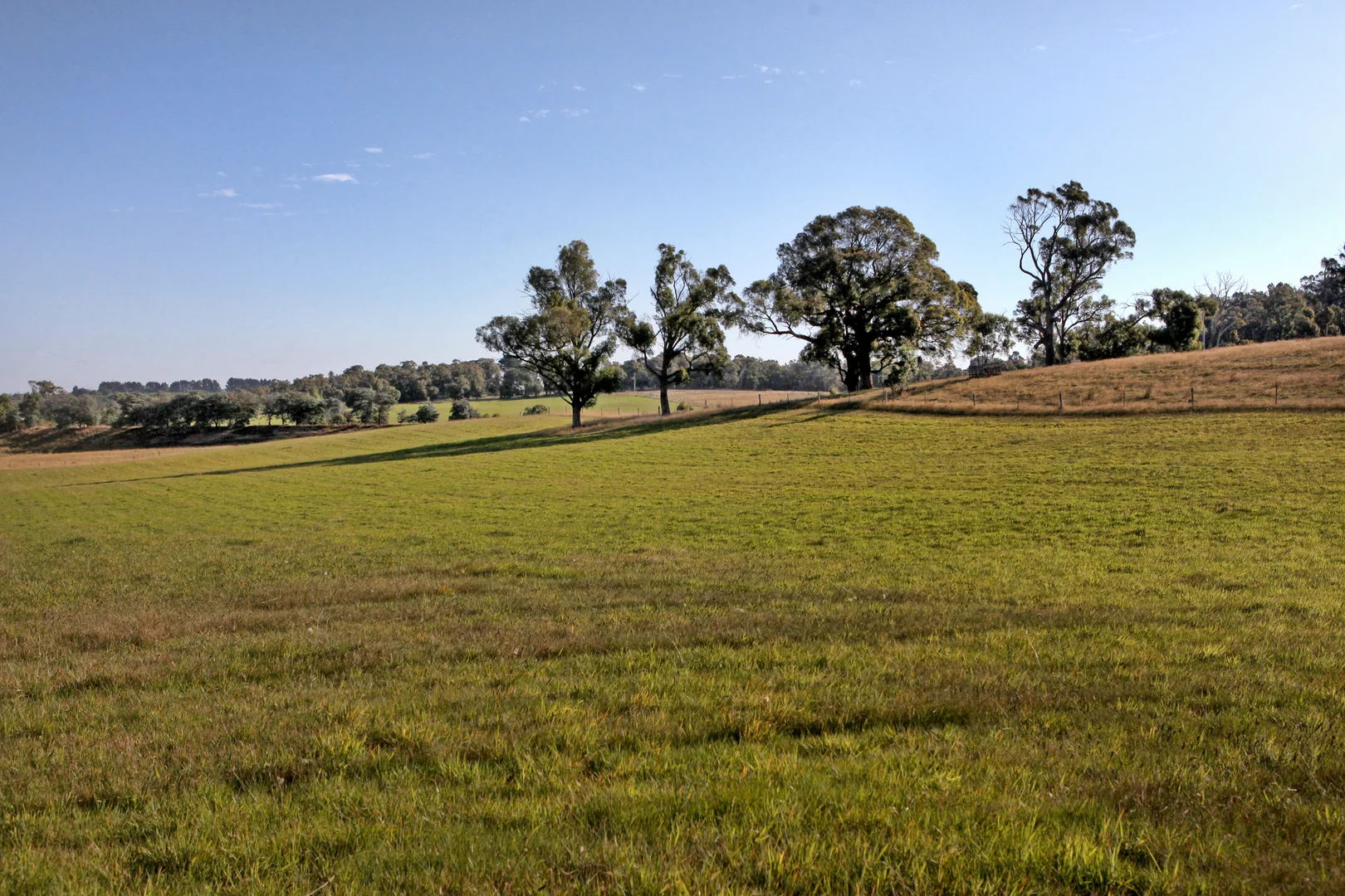 Image 25