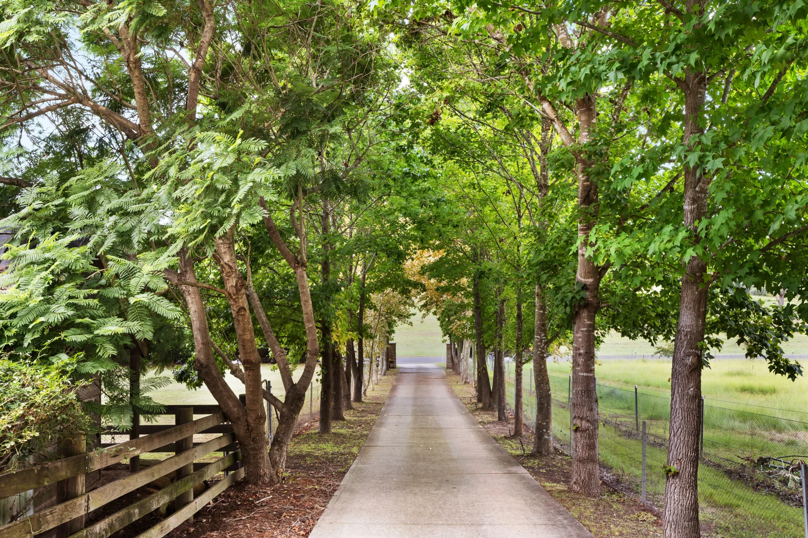 Additional image 2 of 300 Bents Basin Road, Wallacia NSW 2745