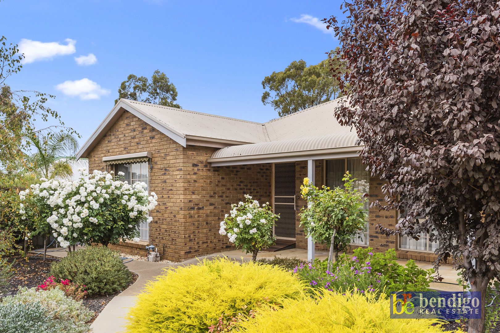 1/79 Aspinall Street, Golden Square VIC 3555, Image 1