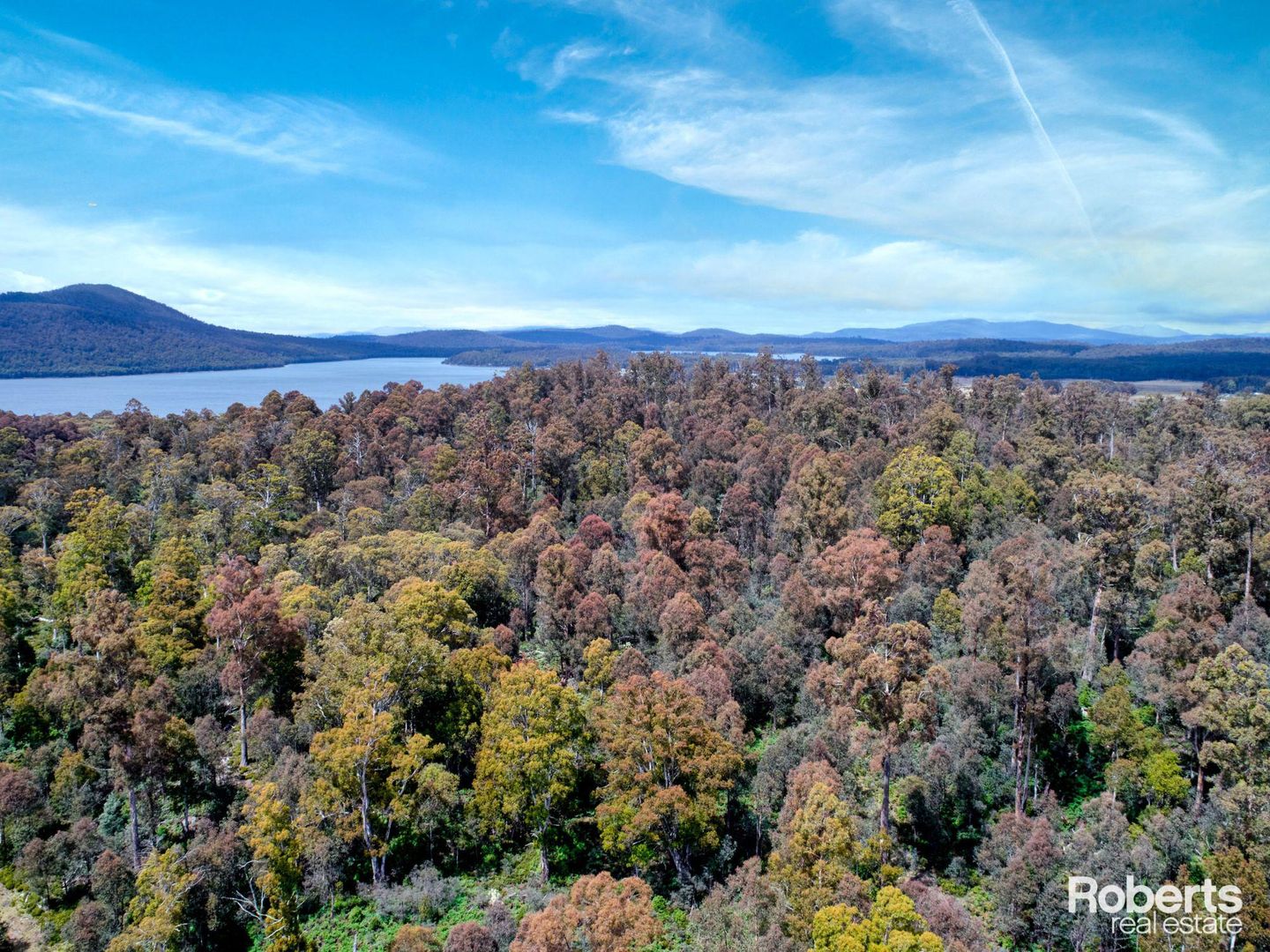 Lot 4/172 Woodwards Bay Road, Bradys Lake TAS 7140, Image 1