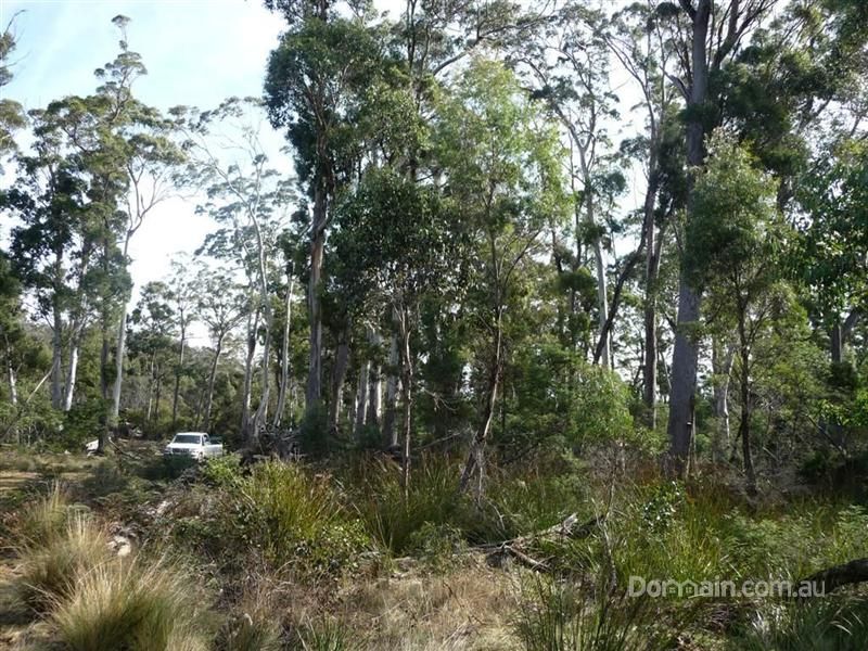 Lot 4 Stonehenge Road, Buckland TAS 7190, Image 2