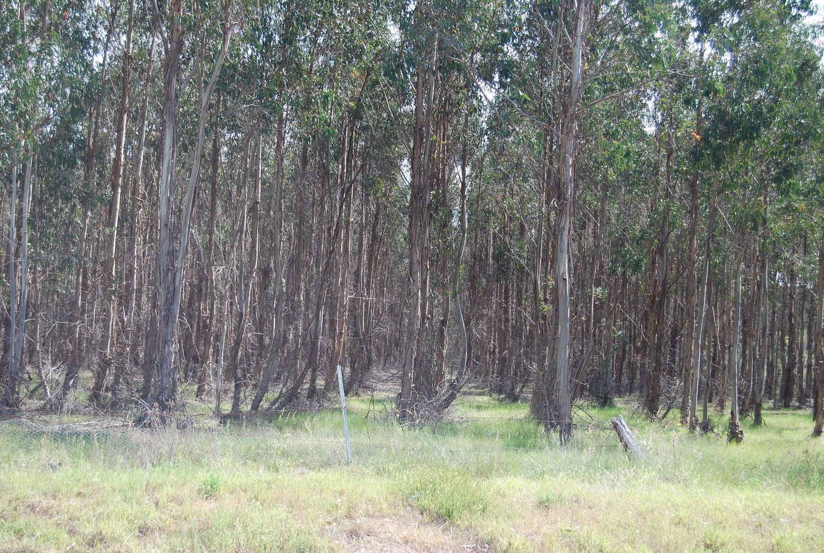 CA19, Sec 1 Munro-Stockdale Road, Munro VIC 3862, Image 2