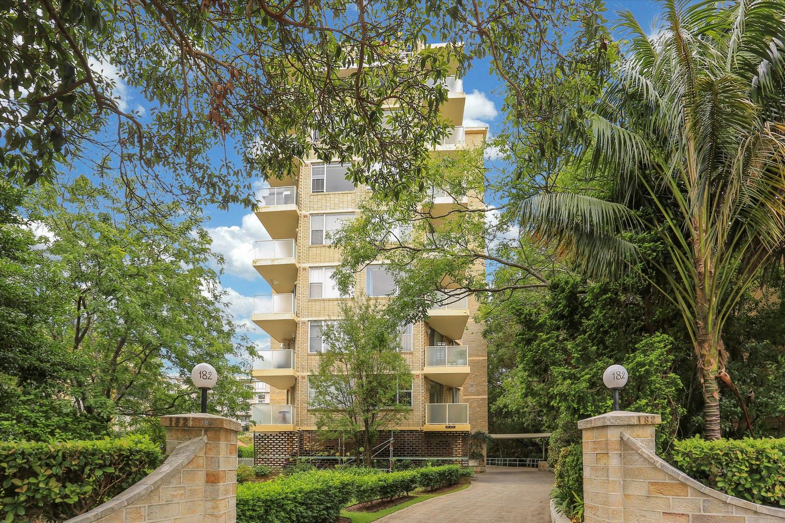 3/182 Raglan St, Mosman NSW 2088 House For Rent Domain