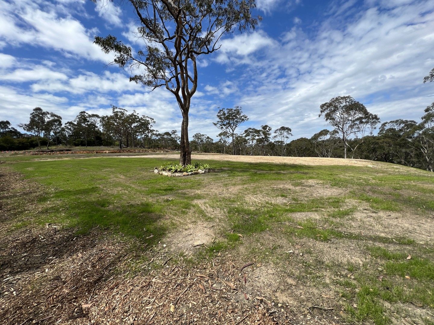 Lot 11 DP 585842 Charcoal Rd, South Maroota NSW 2756, Image 0