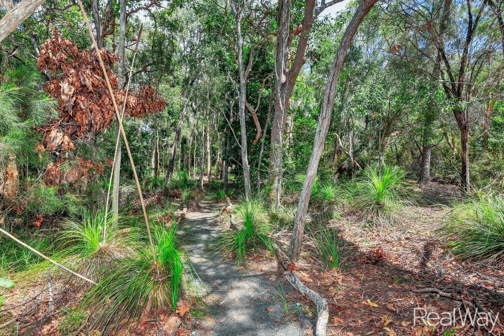 Additional image 26 of 101 Davenport Drive, Coonarr QLD 4670