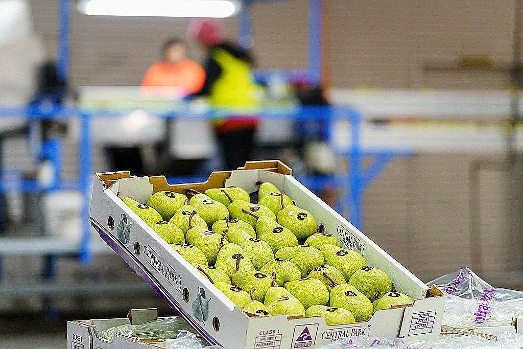 595 Channel Road, Shepparton East VIC 3631