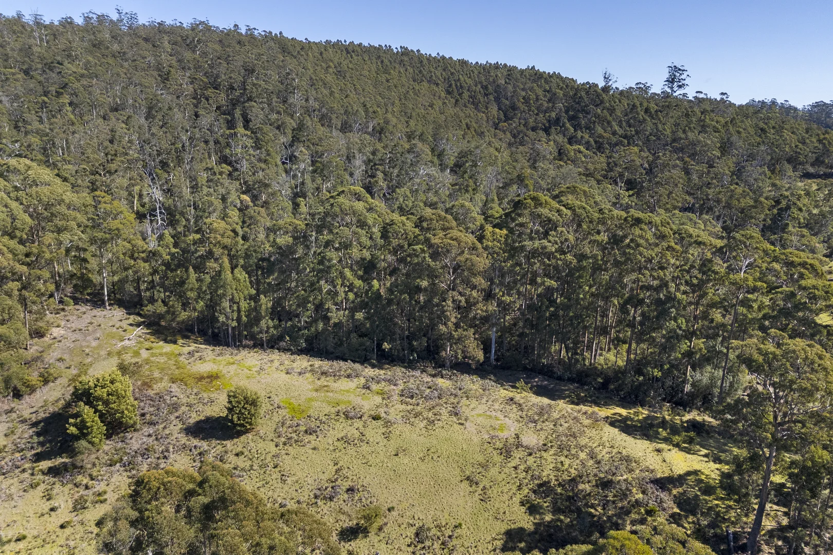 Image 45