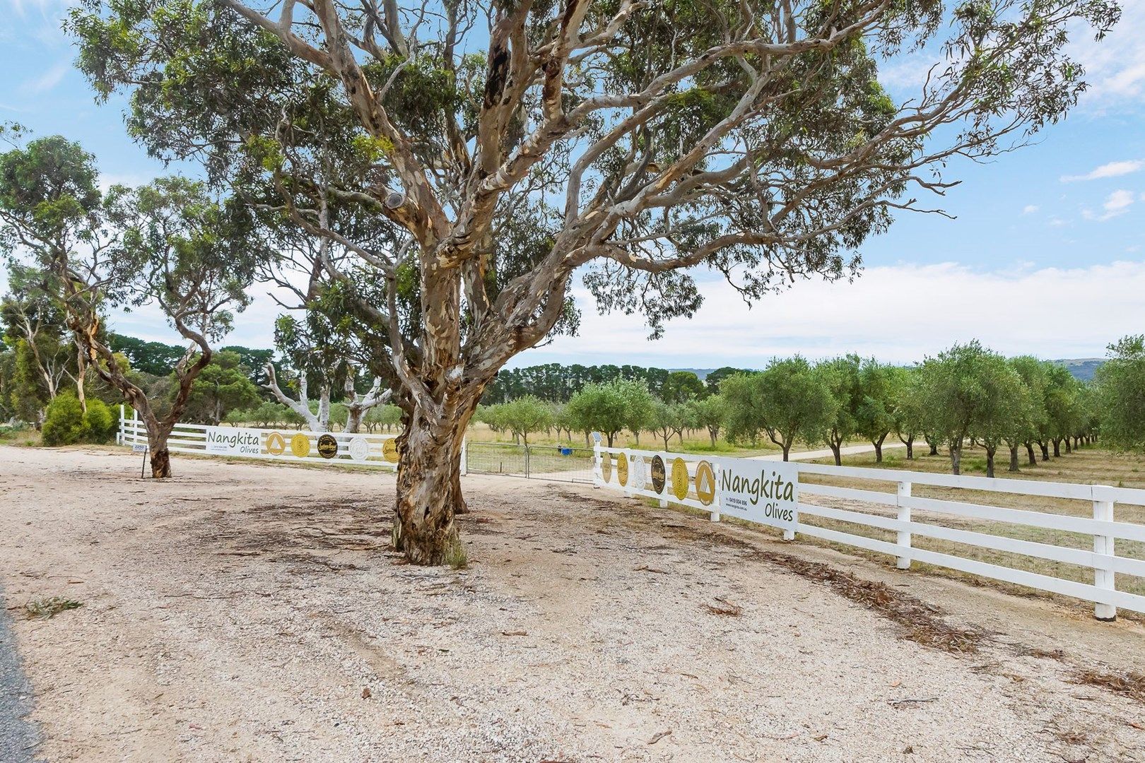 2250 Bull Creek Road, Tooperang SA 5255, Image 0