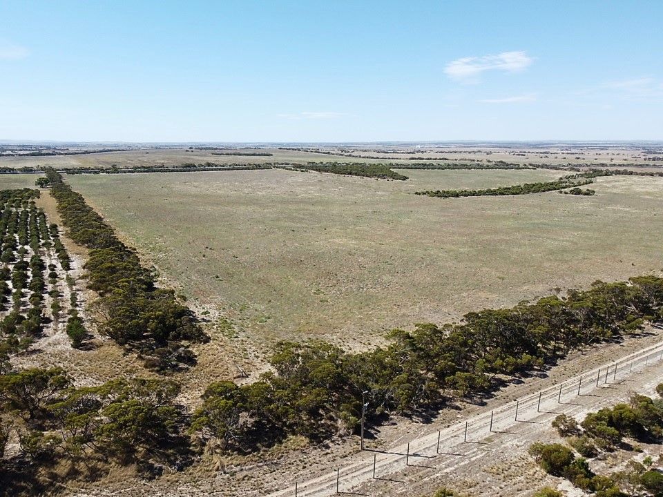 Lot 2 Monarto Road, Rocky Gully SA 5254, Image 2