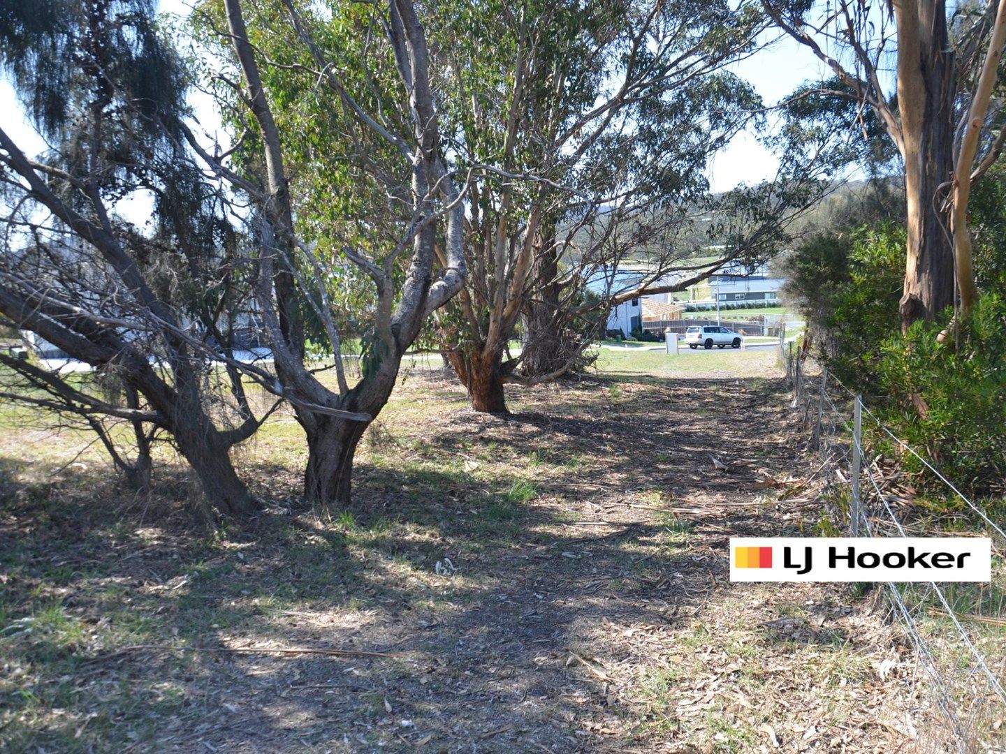 11 Patsy Court, Coles Bay TAS 7215, Image 0