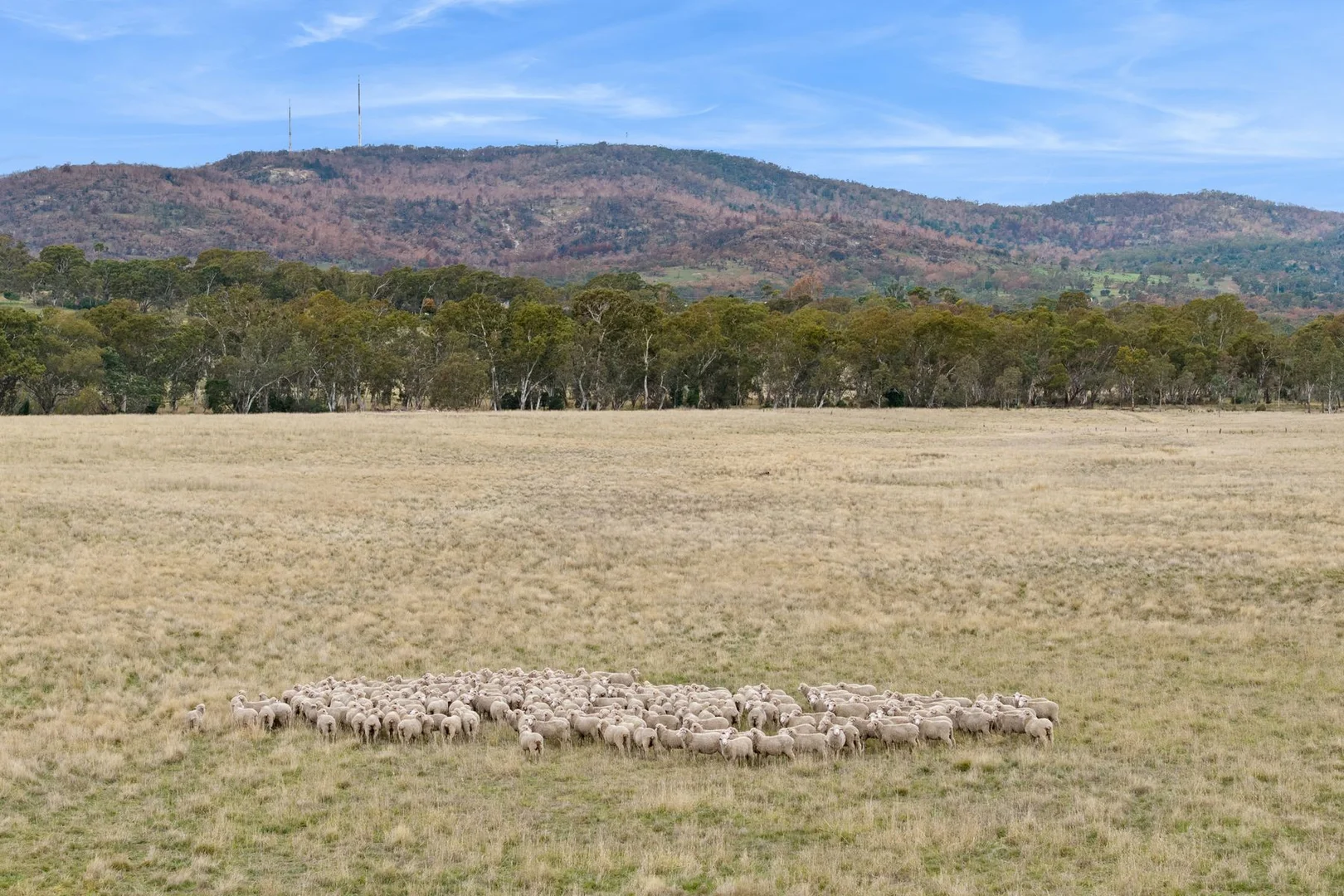 Image 11