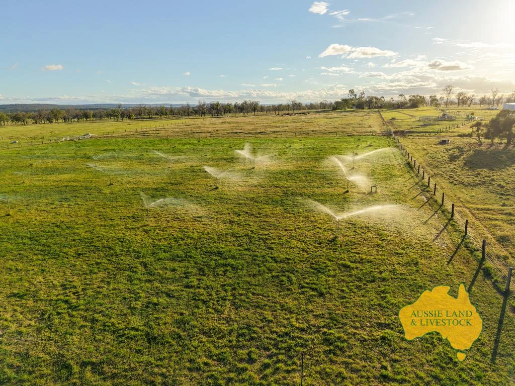 Primary image of 854 MUNDUBBERA-DURONG ROAD, Boynewood QLD 4626