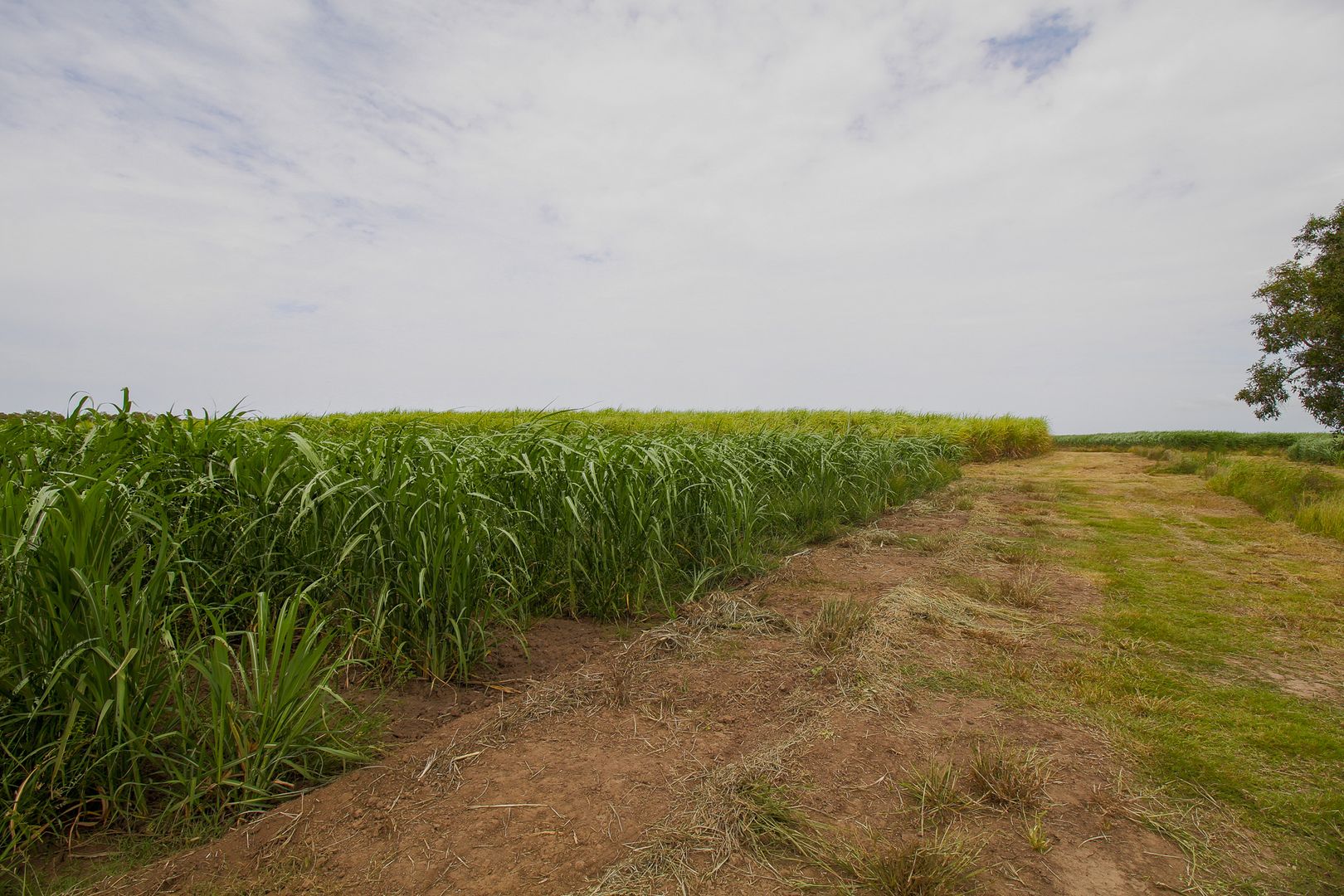 2 Moore Park Road, Moore Park Beach QLD 4670 Vacant Land for Sale