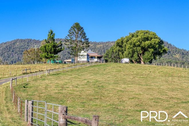 Picture of 1204 Summerland Way, WIANGAREE NSW 2474
