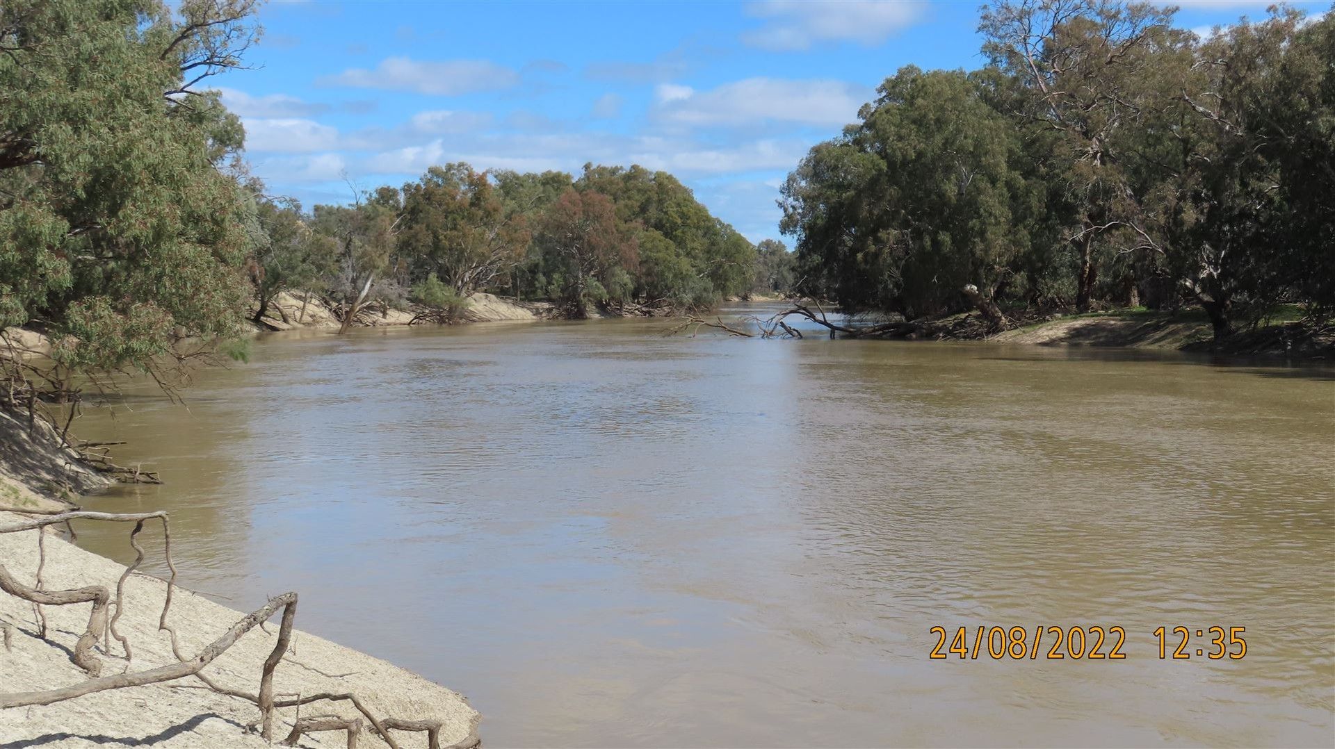 * East Weelong, Louth NSW 2840, Image 0