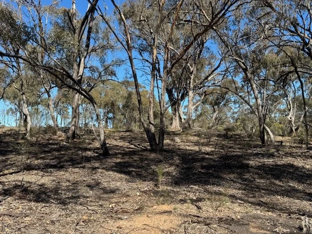 Image 10