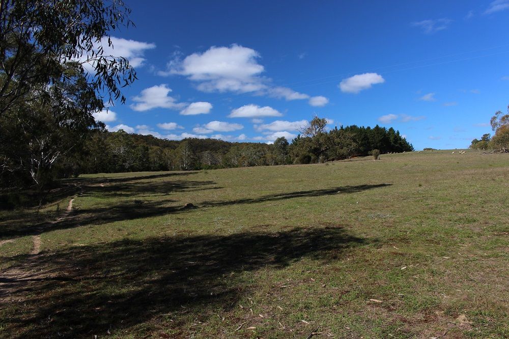 Lot 12 Lower Boro Road, Tarago NSW 2580, Image 0