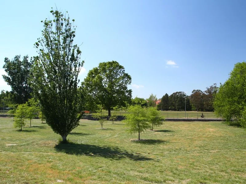 Additional image 6 of 12/41 David Street, O'Connor ACT 2602