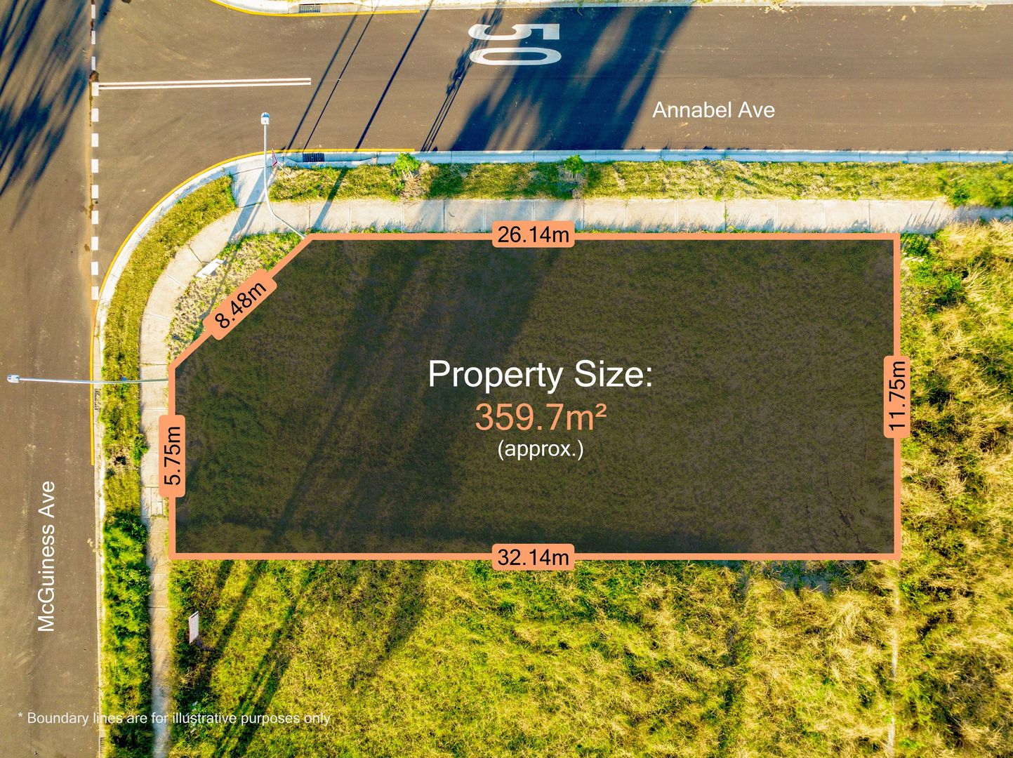 20 McGuiness Avenue, Middleton Grange NSW 2171 Domain